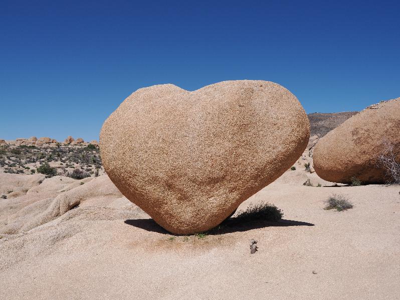 Joshua Tree National Park, California (CA): Arch Rock Nature Trail: Heart Rock