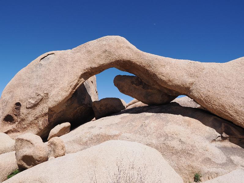Joshua Tree National Park, California (CA): Arch Rock Nature Trail: Arch Rock