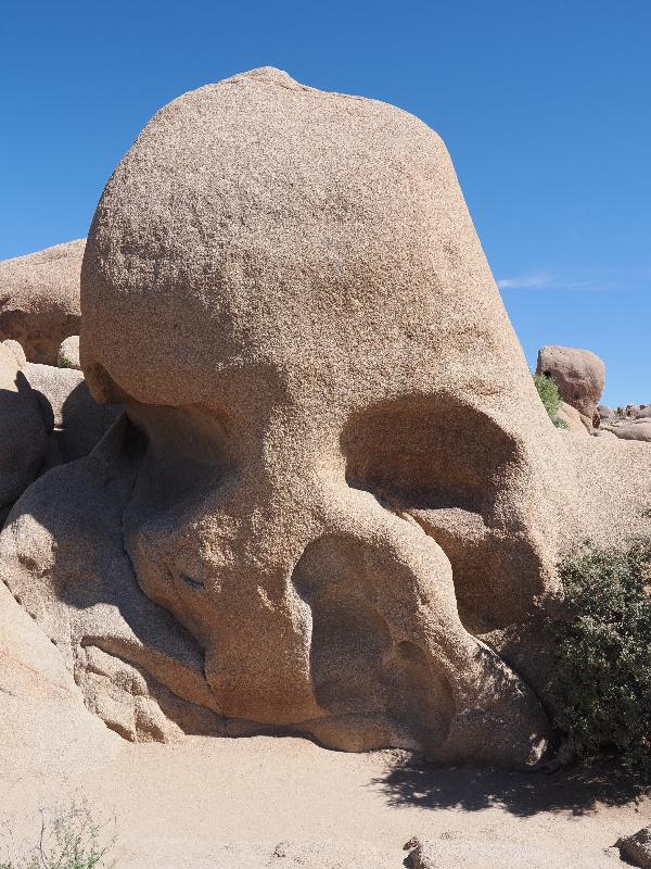 Joshua Tree National Park, California (CA): Skull Rock: view of rock