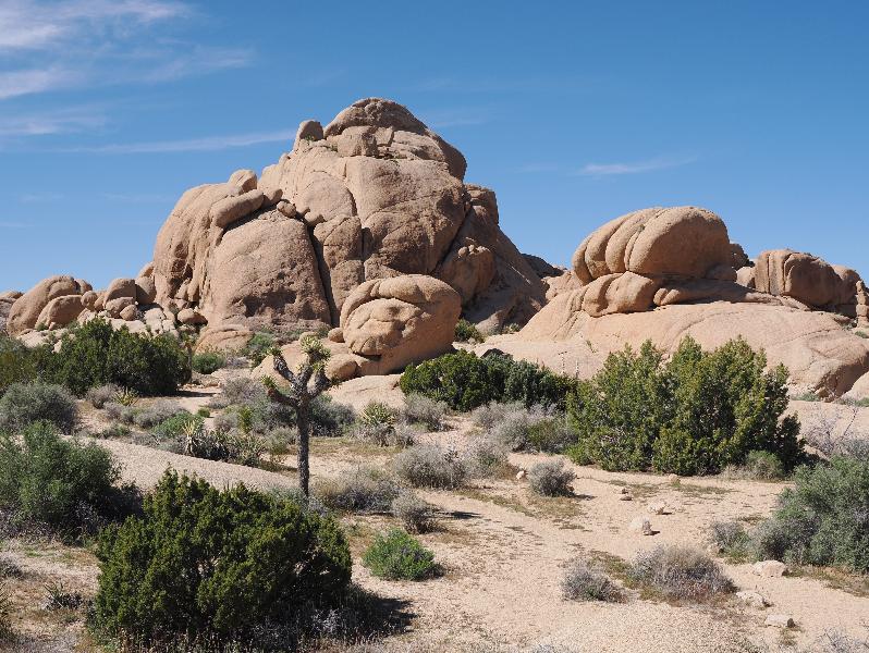 Joshua Tree National Park, California (CA): Jumbo Rocks: view