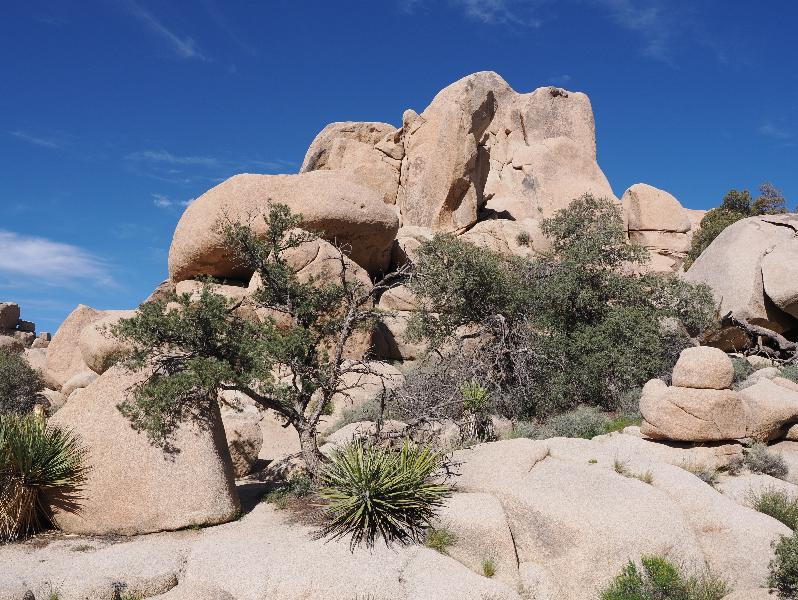 Joshua Tree National Park, California (CA): Hidden Valley Trail: view of rocks