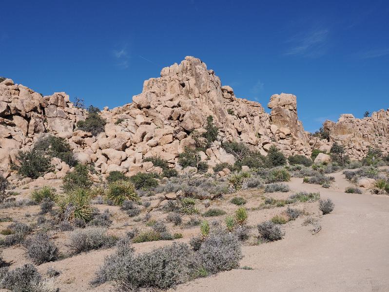Joshua Tree National Park, California (CA): Hidden Valley Trail: view