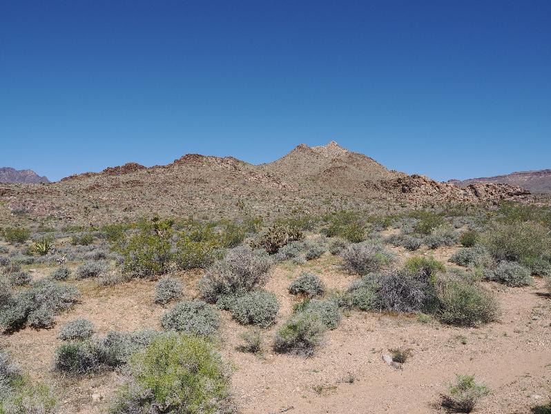 Mojave National Preserve, California (CA): Black Canyon Road: view north