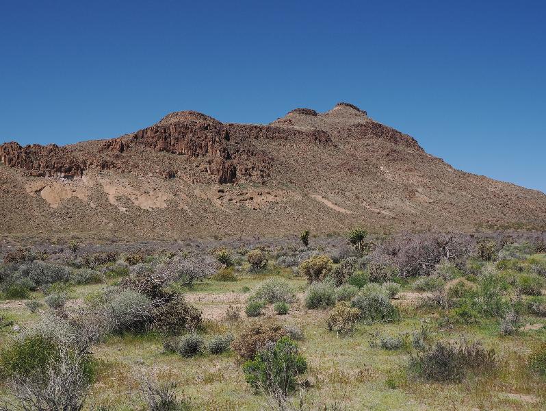 Mojave National Preserve, California (CA): Black Canyon Road: view west