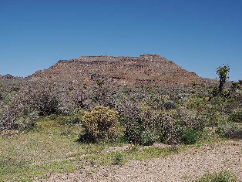 Mojave National Preserve, California (CA): Black Canyon Road: view north