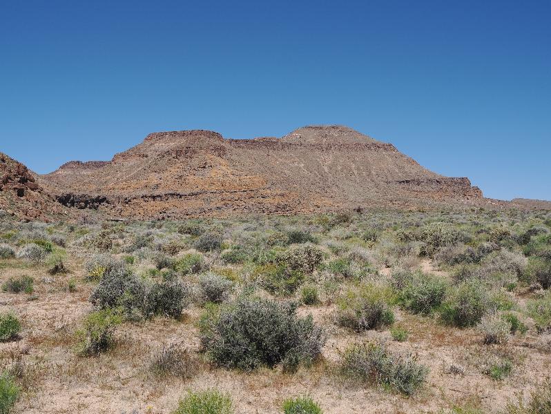 Mojave National Preserve, California (CA): Black Canyon Road: view west