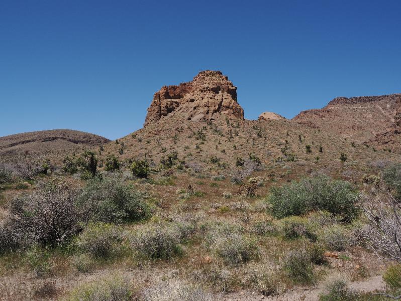 Mojave National Preserve, California (CA): Rings Loop Trail: rocky hill