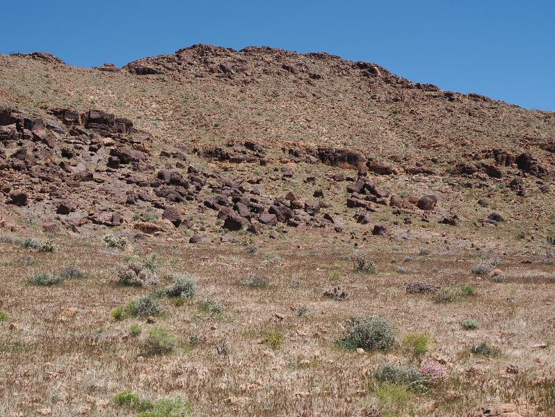 Mojave National Preserve, California (CA): Rings Loop Trail: rocky hill