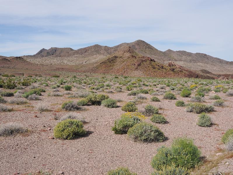 Death Valley National Park, California (CA): Route 178 / Jubilee Pass Road: view west
