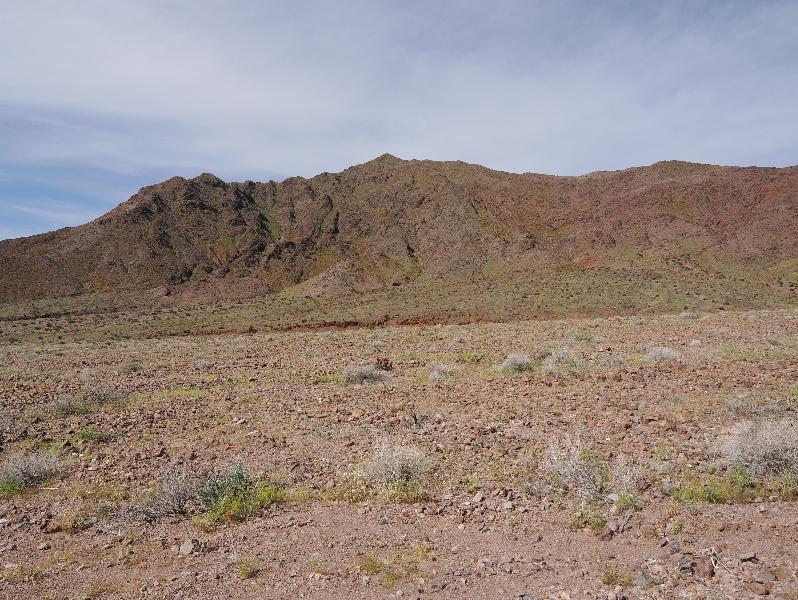 Death Valley National Park, California (CA): Route 178 / Jubilee Pass Road: view southwest