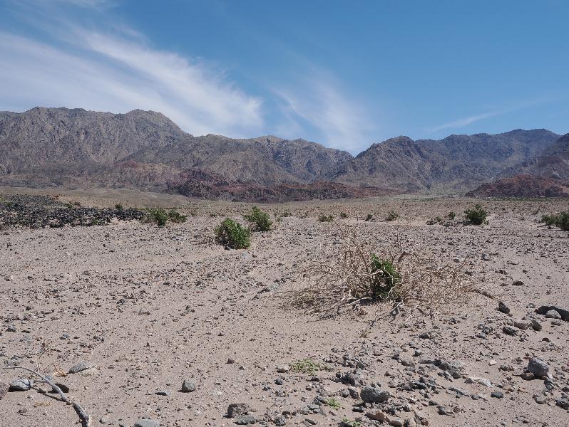 Death Valley National Park, California (CA): Badwater Road: view northeast