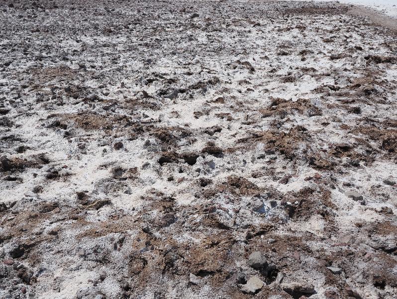 Death Valley National Park, California (CA): Badwater Road: salt and dirt