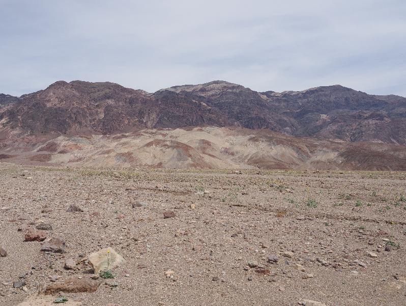 Death Valley National Park, California (CA): Devil's Golf Course: view east