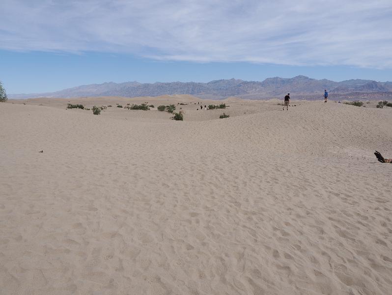 Death Valley National Park, California (CA): Mesquite Flat Sand Dunes: view