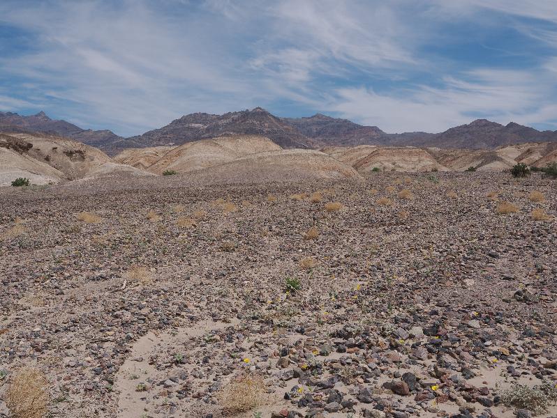 Death Valley National Park, California (CA): Scotty's Castle Road: view northeast
