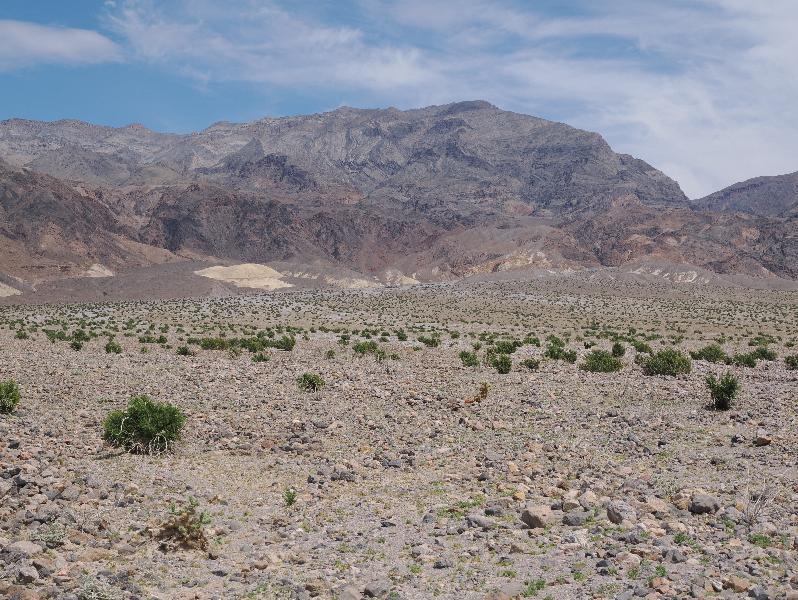 Death Valley National Park, California (CA): Scotty's Castle Road: view east