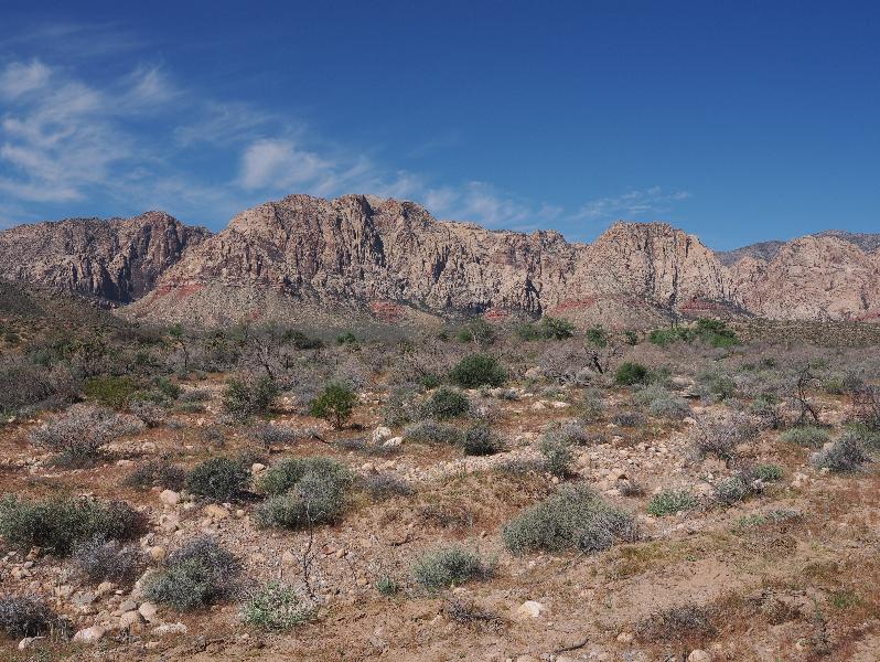 Las Vegas, Nevada (NV): Route 159 / Red Rock Canyon Road: view west