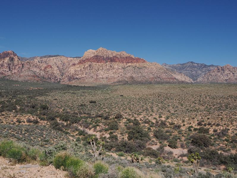 Las Vegas, Nevada (NV): Red Rock Canyon Overlook: view west