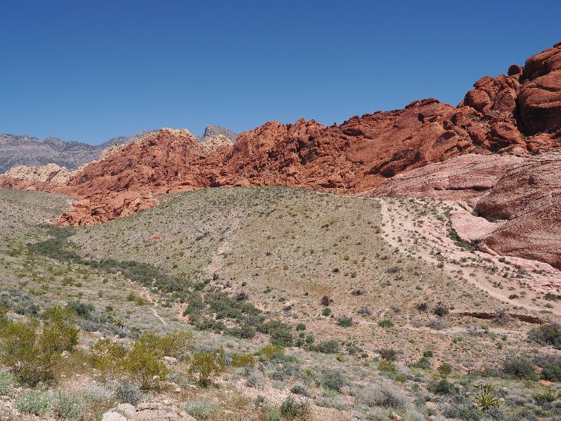 Red Rock Canyon National Conservation Area, Nevada, NV: Calico Hills I: view northwest