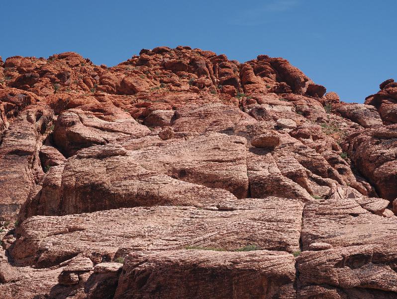 Red Rock Canyon National Conservation Area, Nevada, NV: Calico Hills I: view north