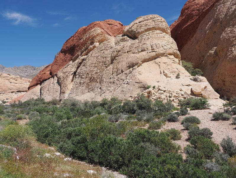 Red Rock Canyon National Conservation Area, Nevada, NV: Sandstone Quarry / Calico Tanks: view north at start of trail