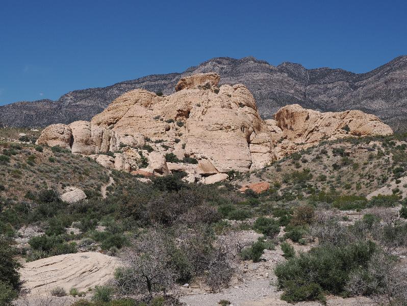 Red Rock Canyon National Conservation Area, Nevada, NV: Sandstone Quarry / Calico Tanks: view northwest