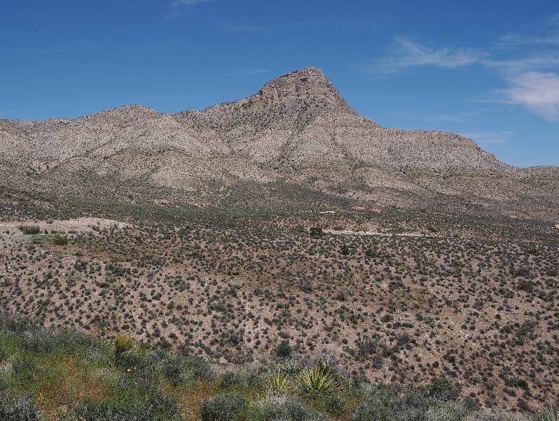 Red Rock Canyon National Conservation Area, Nevada, NV: High Point Overlook: view northeast (towards Turtlehead Peak)