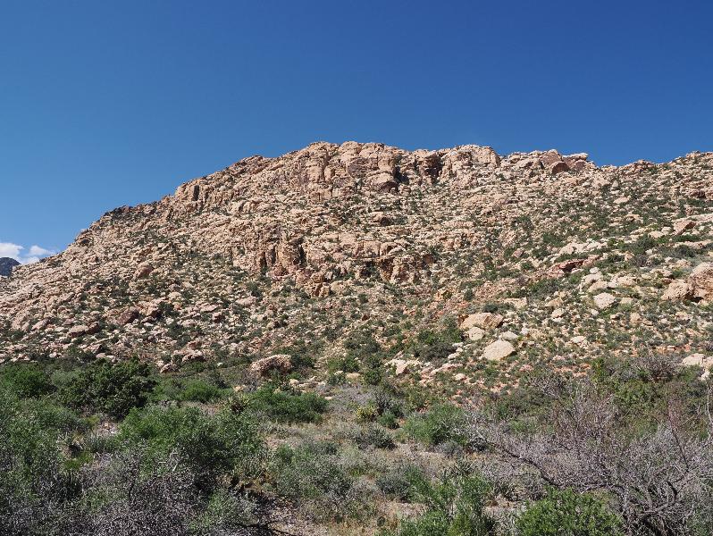 Red Rock Canyon National Conservation Area, Nevada, NV: Lost Creek Canyon: view north (towards White Rock Hills)