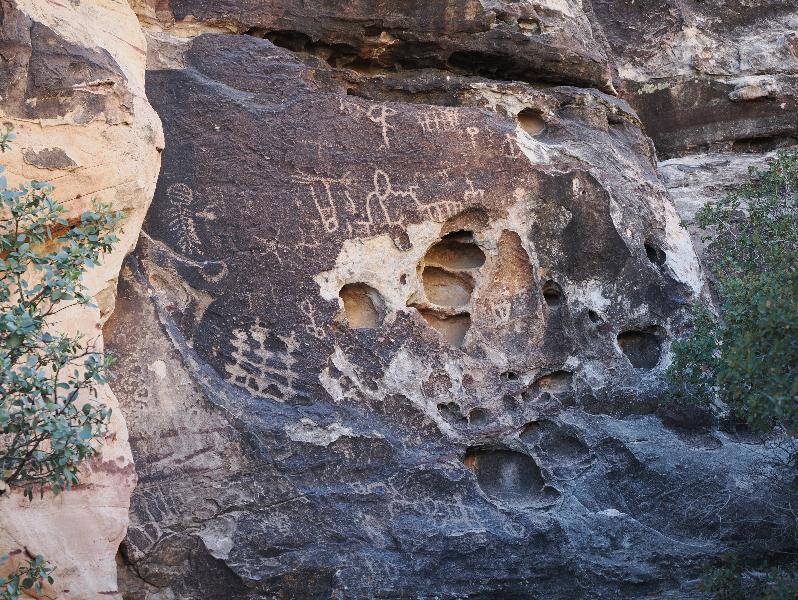 Red Rock Canyon National Conservation Area, Nevada, NV: Petroglyph Wall: petroglyphs