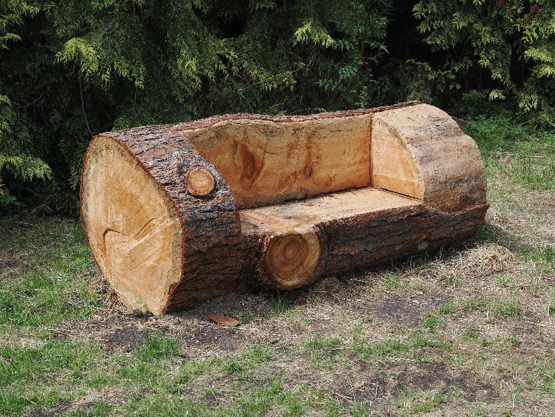 Cambridge, England: Botanic Garden: bench made from Himalayan Pine (Pinus wallichiana)