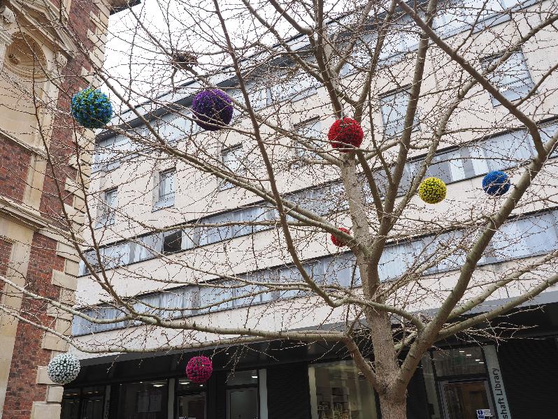 Cambridge, England: St Catharine's College: fake flower balls hanging in tree