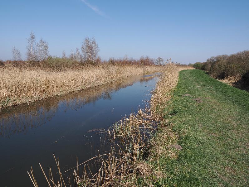 Wicken, England: Wicken Fen: waterway