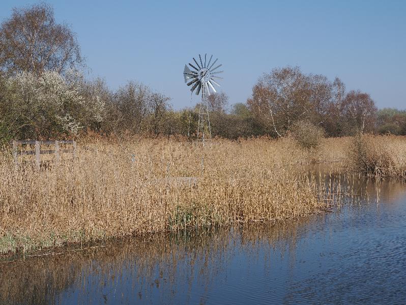 Wicken, England: Wicken Fen: windmill
