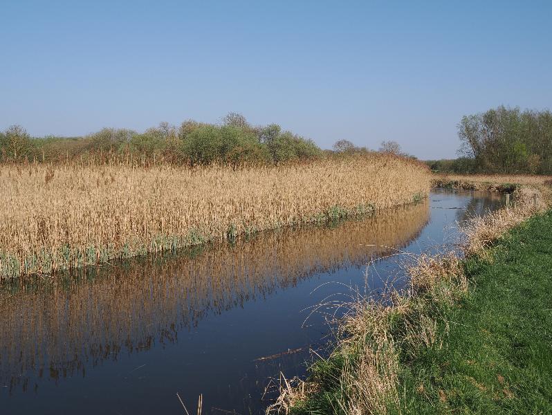 Wicken, England: Wicken Fen: waterway