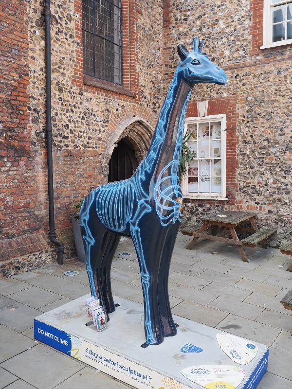 Norwich, England: Cinema City: Ray (Mik Richardson)