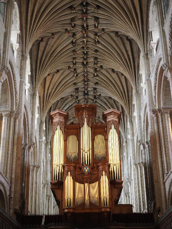 Norwich, England: Norwich Cathedral: organ and ceiling