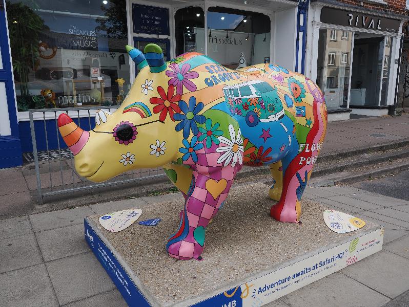 Norwich, England: Ber Street: Flower Power (Hannah Jayne Lewin)