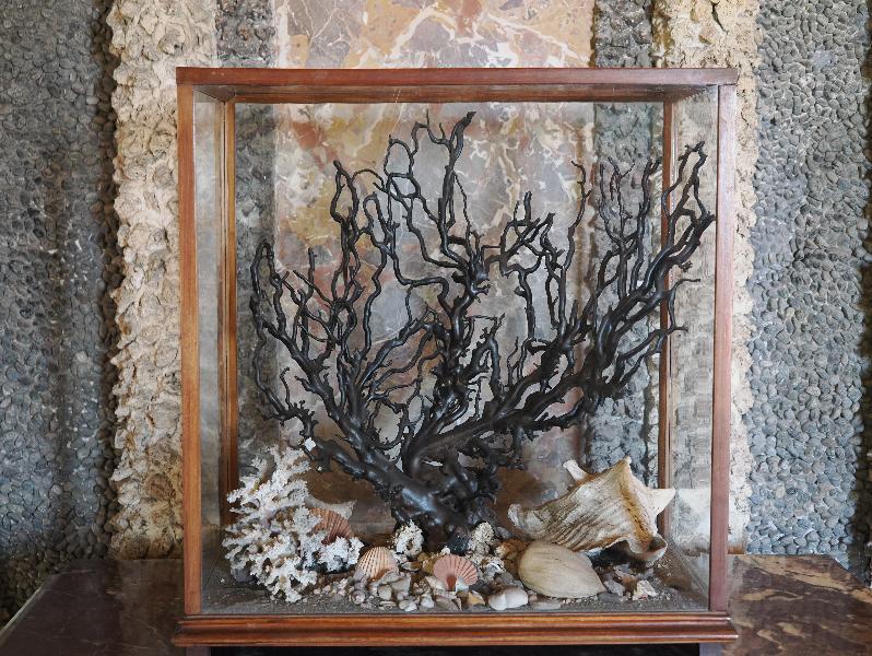 Isola Bella, Italy: Palazzo Borromeo, L'appartamento Grotte e la Prima Grotta (Grotto Apartment and First Grotto): black coral