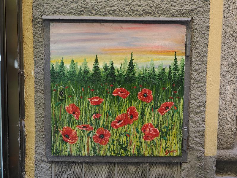 Bellagio, Italy: Salita Serbelloni: poppies, utility box