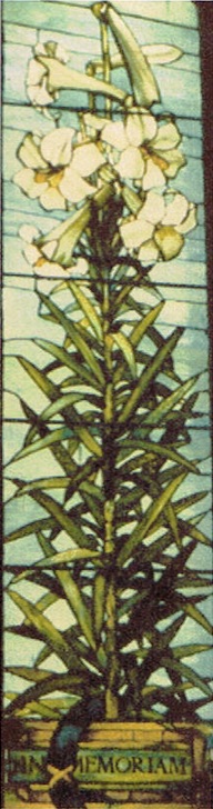 Lily window