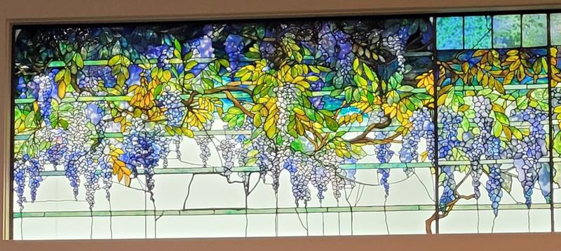 Wisteria