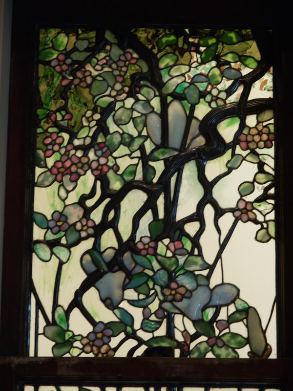 Magnolia and Apple Blossom