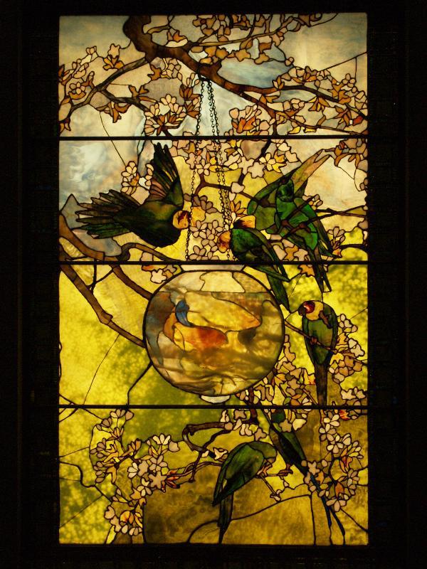 Parakeets and Gold Fish Bowl