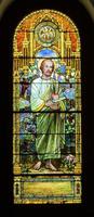 Mississippi Window:  St. James