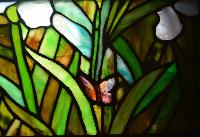 New York, Utica, Grace Church: Resurrection Lilies