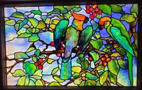 Florida, Winter Park, Charles Hosmer Morse Museum of American Art: Parrots