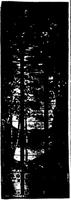 Maryland, Baltimore, Northminster Presbyterian Church: Morton Memorial Window:  Eventide